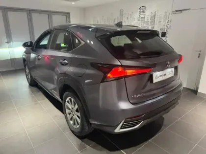 Photo 5 Lexus Nx  300h 2WD Pack Business MY20