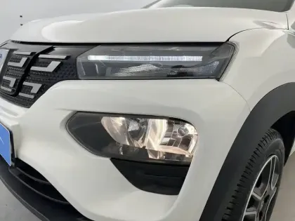 Photo 19 Dacia Spring  Achat Intégral