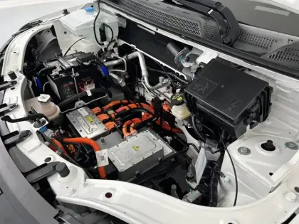 Photo 20 Dacia Spring  Achat Intégral