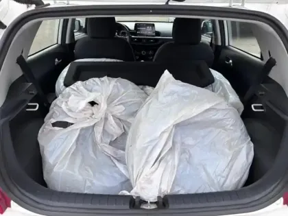 Photo 14 Kia Picanto  1.0 DPi 67ch GT Line