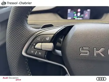 Photo 22 Skoda Elroq  340 ch Batterie RS