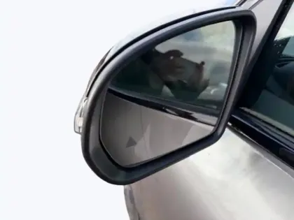 Photo 16 Mercedes EQA 250+ AMG Line