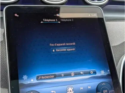 Photo 20 Mercedes Classe C 220 D