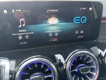 Photo 22 Mercedes Classe B 250 Business Line