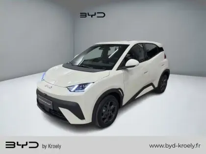 Photo Byd Dolphin Surf Comfort