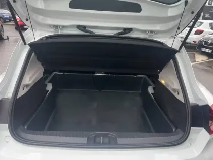 Photo 30 Renault Clio  SOCIETE BLUE DCI 100