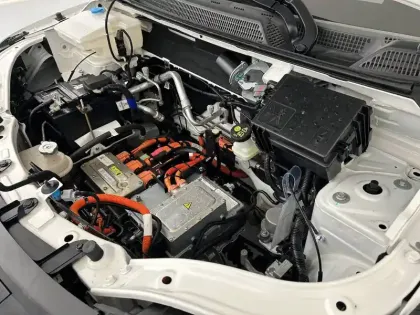 Photo 21 Dacia Spring  Achat Intégral