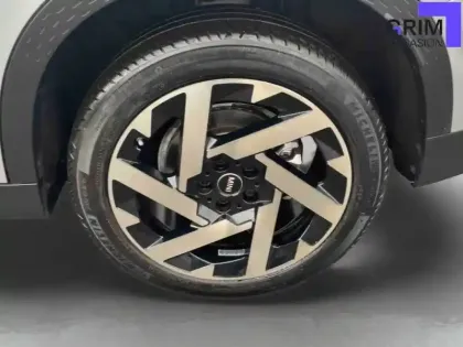 Photo 36 Mini Countryman  218 ch DKG7 S ALL4