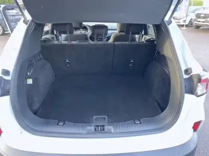 Photo 10 Ford Kuga 2.0 EcoBlue 150ch mHEV Titanium