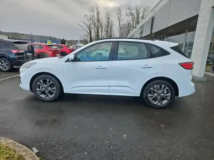 Photo 20 Ford Kuga 2.5 Duratec 190ch FHEV E85 ST-Line BVA