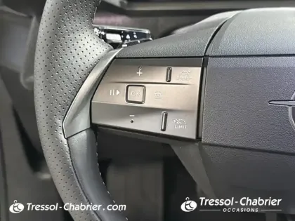 Photo 18 Opel Grandland  1.2 Turbo Hybrid 145 ch e-DCT6 GS