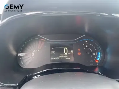 Photo 18 Dacia Spring  Achat Intégral