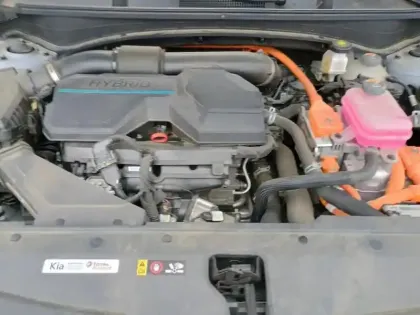 Photo 6 Kia Sportage Gén. V Ph1 GT-Line P Business 5