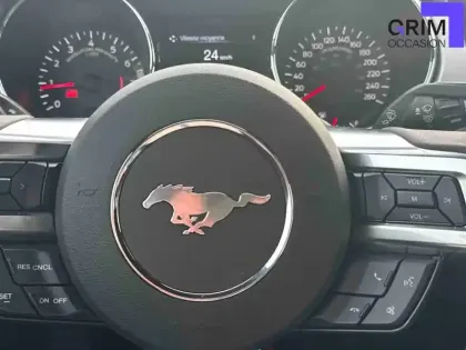 Photo 24 Ford Mustang  Fastback V8 5.0 421