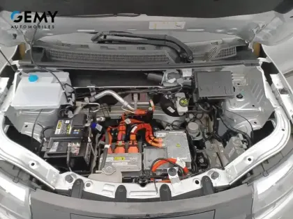 Photo 11 Dacia Spring  Achat Intégral