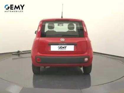 Photo 19 Fiat Panda Gén. III Ph1 NG Pop 5