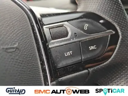 Photo 74 Peugeot 3008  BlueHDi 130ch S&S EAT8