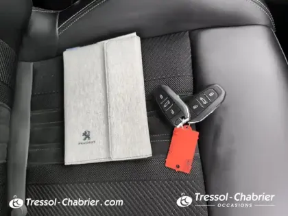 Photo 15 Peugeot 308  PureTech 130ch S&S EAT8 GT Pack