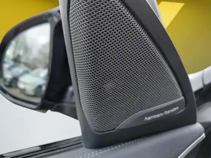 Photo 16 BMW X4 Gén. II (G02) Ph2 M Performance 5