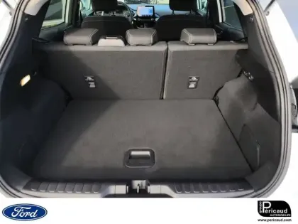 Photo 52 Ford Puma  1.0 Flexifuel 125 ch mHEV S&S BVM6