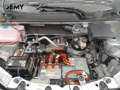 Photo 14 Dacia Spring  Achat Intégral