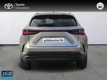 Photo 6 Lexus Nx  350h Luxe 4WD