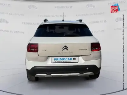 Photo 6 Citroën C4  Cactus BlueHDi 100 Rip Curl