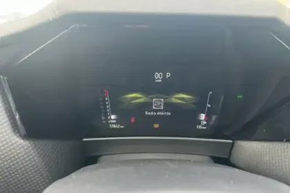 Photo 42 DS DS 4  PureTech 130 EAT8