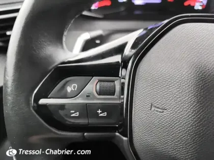 Photo 18 Peugeot 2008  PureTech 130 S&S EAT8 Style