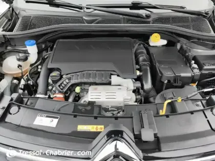 Photo 6 Citroën C4  Cactus PureTech 110 S&S BVM6 Feel