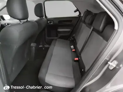 Photo 22 Citroën C4  Cactus PureTech 110 S&S BVM6 Feel