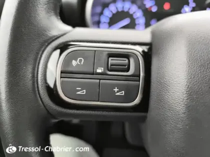 Photo 18 Citroën C3 Aircross  PureTech 110 S&S BVM6 Shine