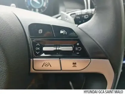 Photo 9 Hyundai Tucson  1.6 T-GDi 230ch Hybrid N Line Executive BVA6