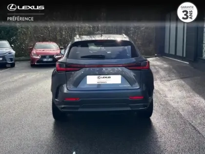 Photo 6 Lexus Nx  350h Executive 4WD MY24