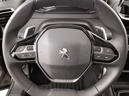 Photo 30 Peugeot 2008 Gén. II Ph1 NG Style 5