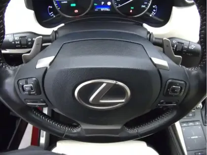 Photo 13 Lexus Nx 300H 4WD Luxe PANO