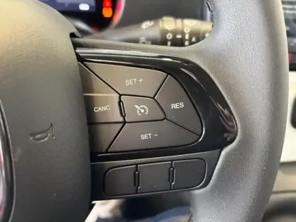 Photo 12 Fiat Panda  1.0 70ch BSG S&S  Cross