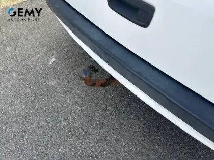 Photo 13 Renault Kangoo  Blue dCi 80