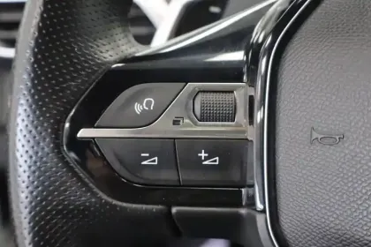 Photo 73 Peugeot 3008  1.6 THP 165ch S&S EAT6