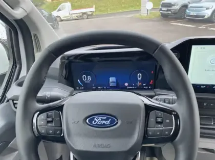 Photo 6 Ford Custom Gén. II Ph1 Limited 1