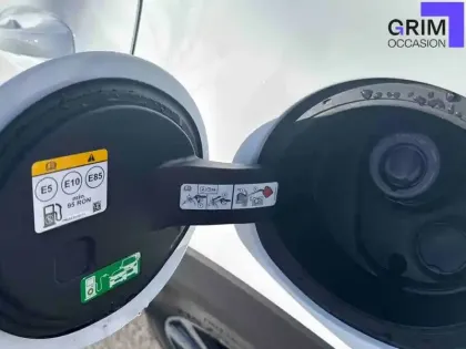 Photo 19 Ford Puma  1.0 Flexifuel 125 ch mHEV S&S BVM6