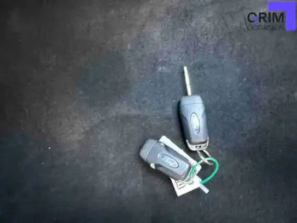 Photo 25 Ford Puma  1.0 Flexifuel 125 ch mHEV S&S BVM6