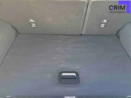 Photo 11 Ford Puma  1.0 Flexifuel 125 ch mHEV S&S BVM6