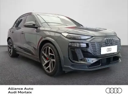Photo 30 Audi E-tron Q6   387ch quattro S line