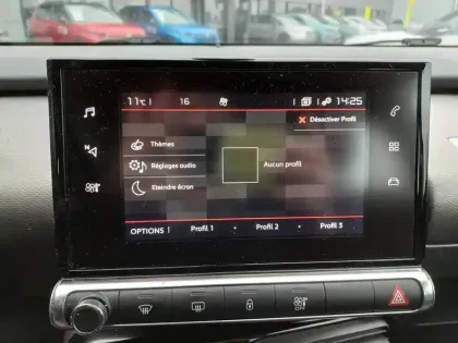 Photo 15 Citroën C4  Cactus PureTech 110 S&S BVM