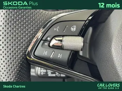 Photo 22 Skoda Fabia  1.0 TSI 110 ch DSG7