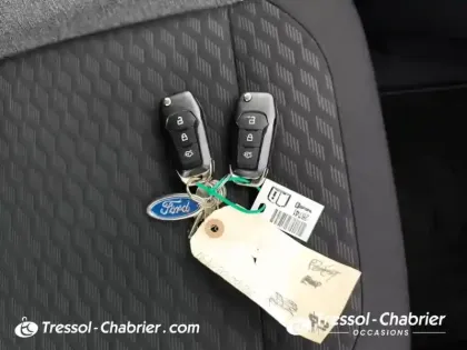 Photo 15 Ford Puma  1.0 EcoBoost 125 ch mHEV S&S Powershift Titanium