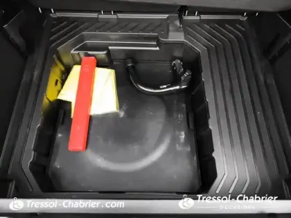 Photo 26 Ford Puma  1.0 EcoBoost 125 ch mHEV S&S Powershift Titanium