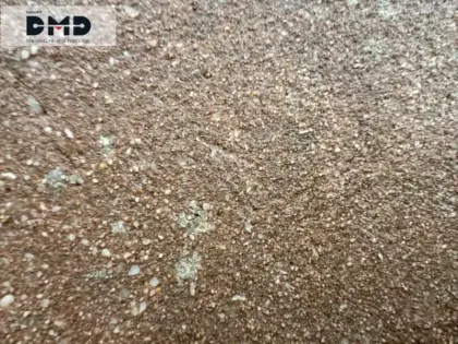 Photo 10 Ford Puma  1.0 EcoBoost Hybrid 125ch ST Line X S&S