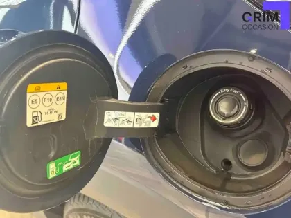 Photo 19 Ford Puma  1.0 Flexifuel 125 ch mHEV S&S BVM6